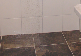 Douche betegelen