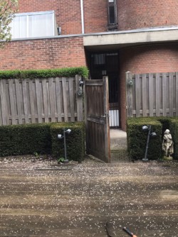 Millboard kunststof planken